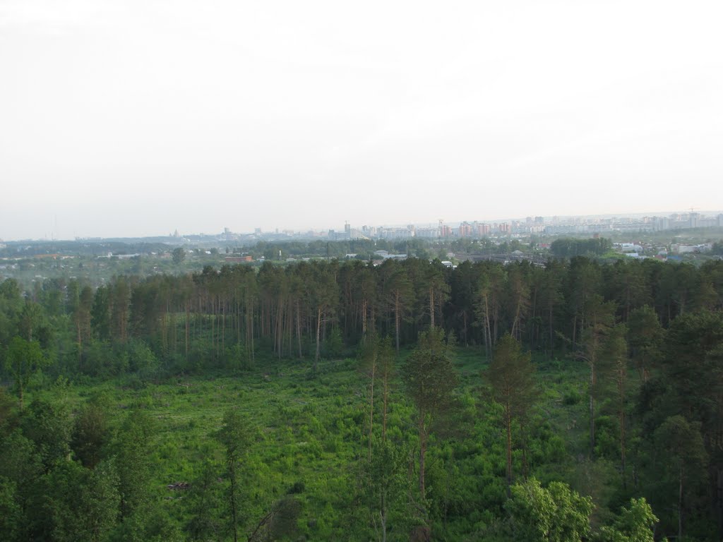 sky and forest, Дубровка
