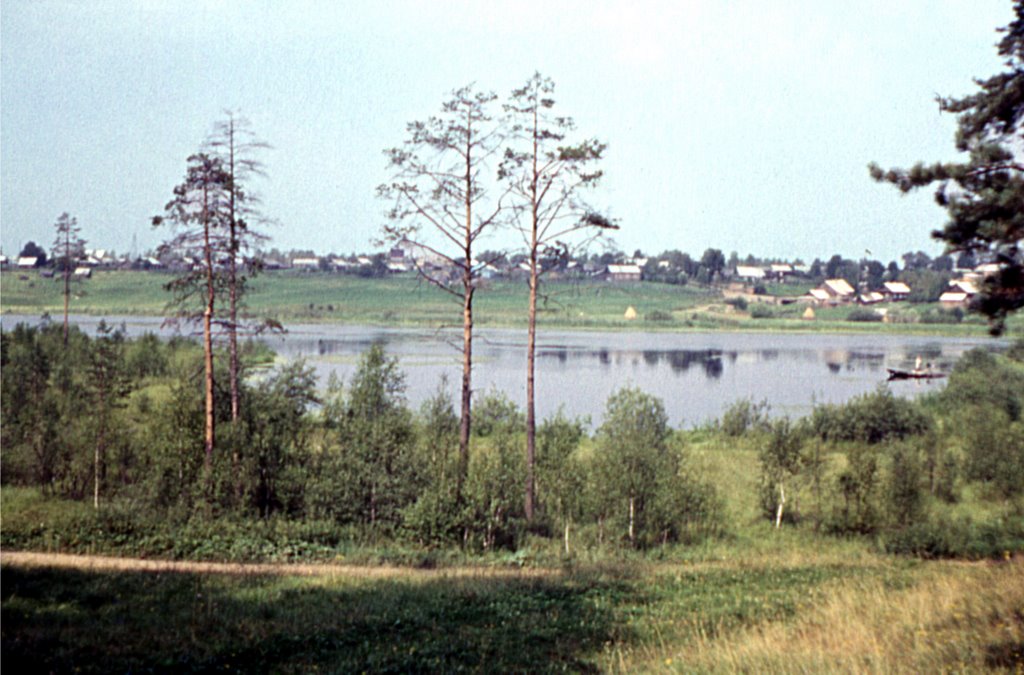 У Розовой горки. 1977 г, Ефимовский