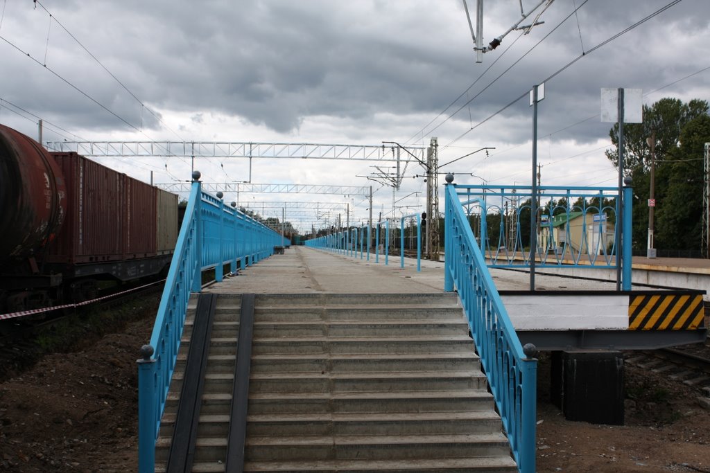 Platform, Зеленогорск