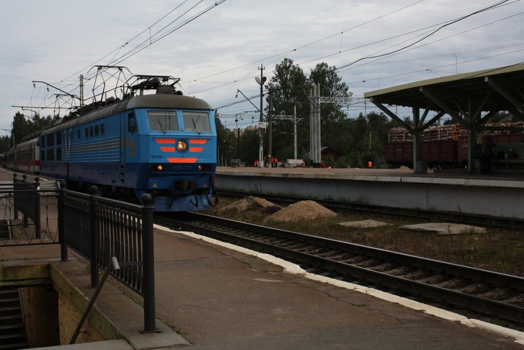 Sibelius train, Зеленогорск