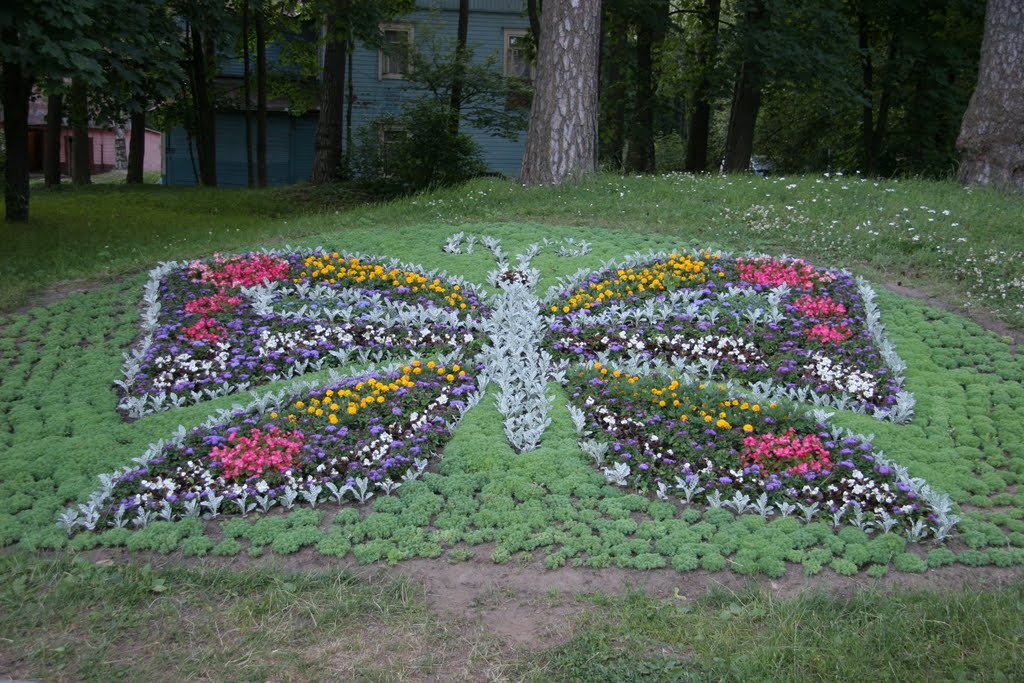 Butterfly full of flowers!, Зеленогорск