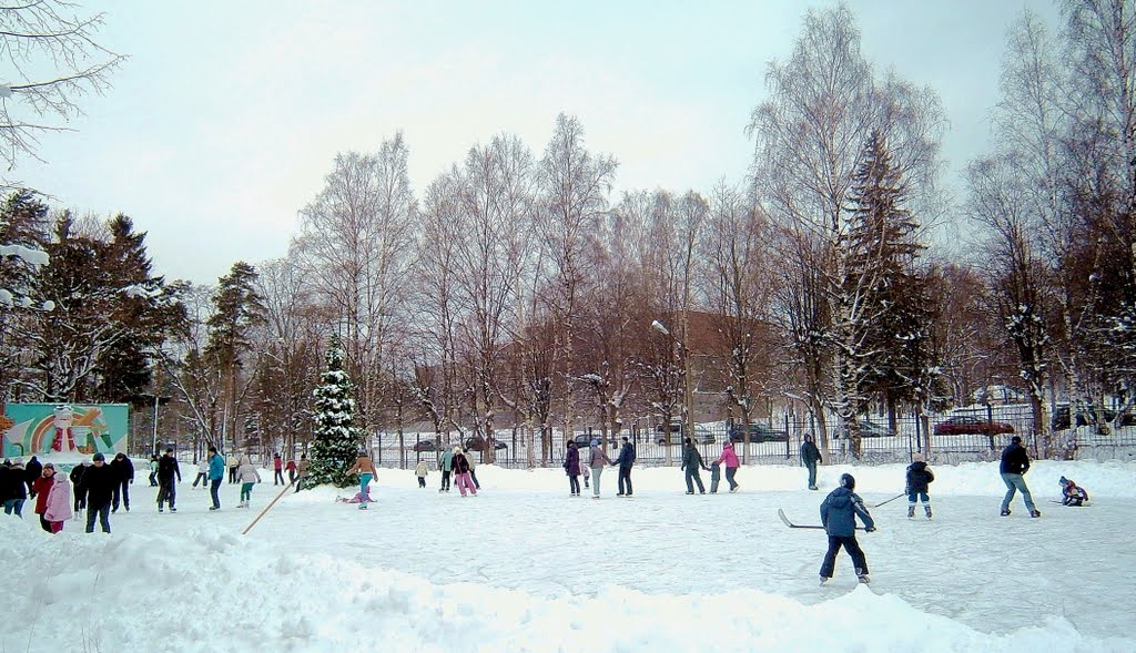 ЗЕЛЕНОГОРСК. Каток. / Zelenogorsk. Skating rink., Зеленогорск