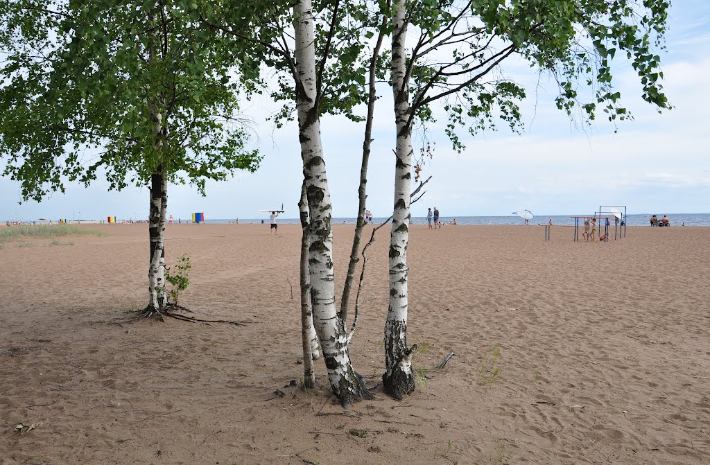 Зеленогорск. Финский залив. "Золотой пляж" / Zelenogorsk. Gulf of Finland. "Golden Beach", Зеленогорск