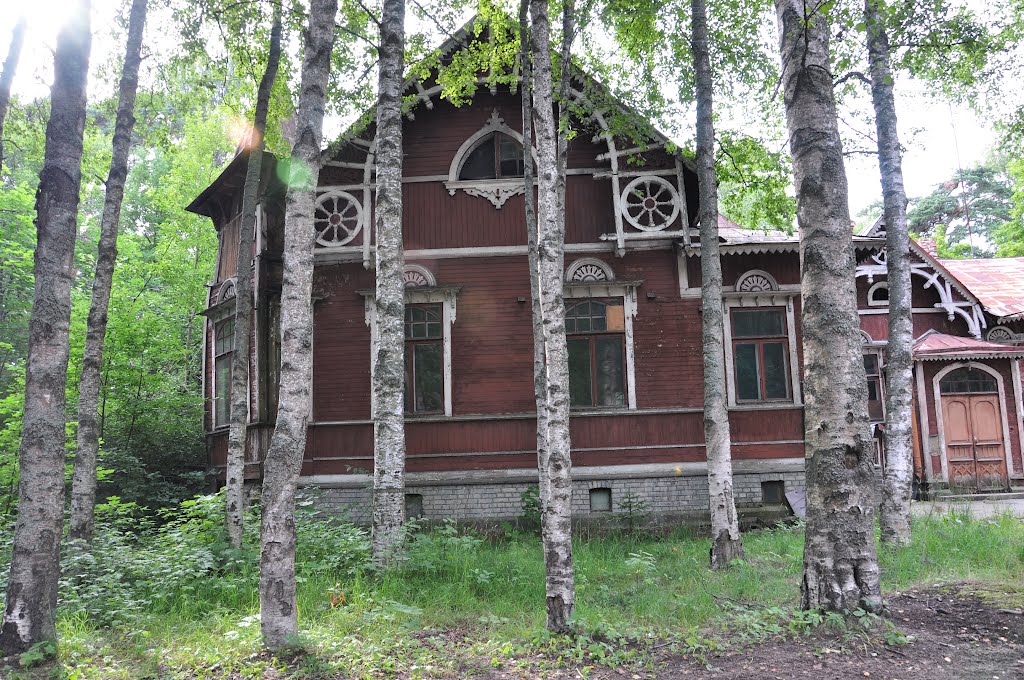 Зеленогорск. Дача Мюзера, Belle Vue / Zelenogorsk. Myuzer Cottage, Belle Vue, Зеленогорск
