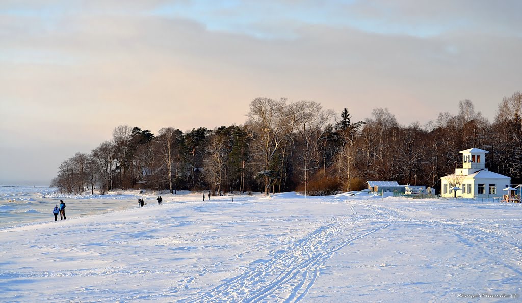 ЗЕЛЕНОГОРСК. Зимний пляж. / Zelenogorsk.  Winter beach., Зеленогорск