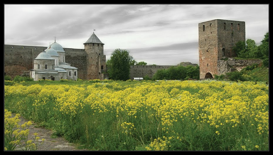 Ивангородская крепость: Успенский собор и Никольская церковь, Ивангород