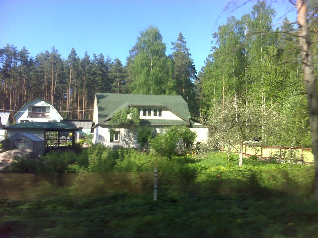 Частные дома на Ленинградском шоссе, Каменногорск
