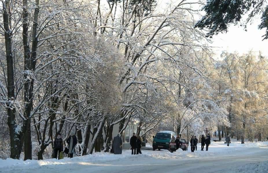 Зима в Каменногорске, Каменногорск