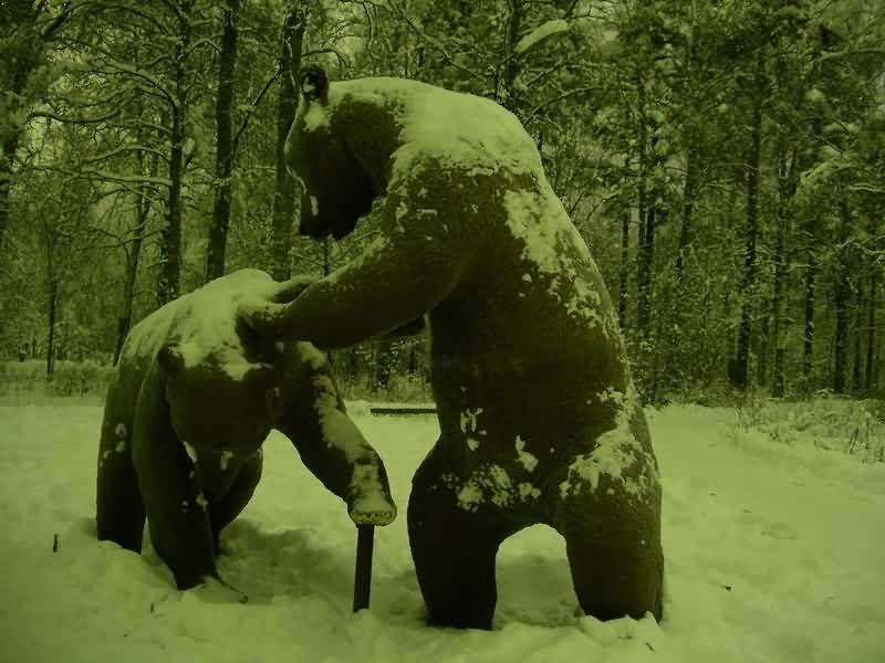 Два медведя, Каменногорск