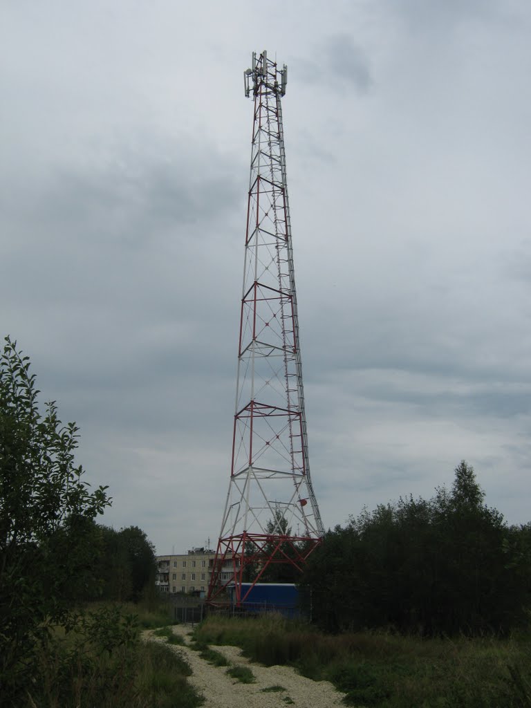 Башня Линк Девелопмент в п. Кикерино, Волосовский р-н, Кикерино