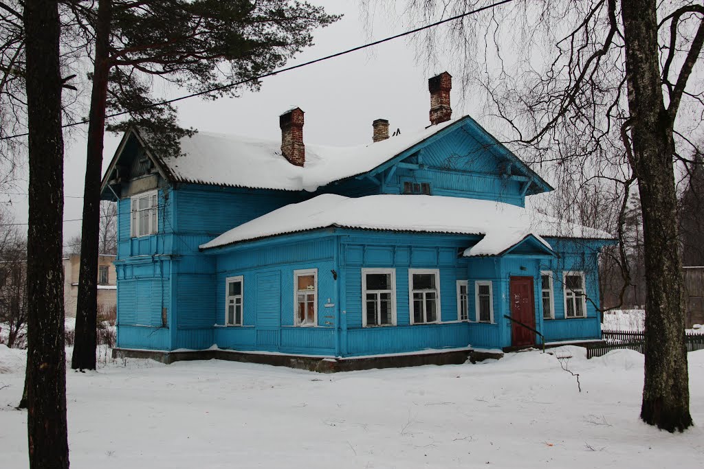 Популярные экскурсии Ленинградская область: цены и расписание 2025 на Sputnik8