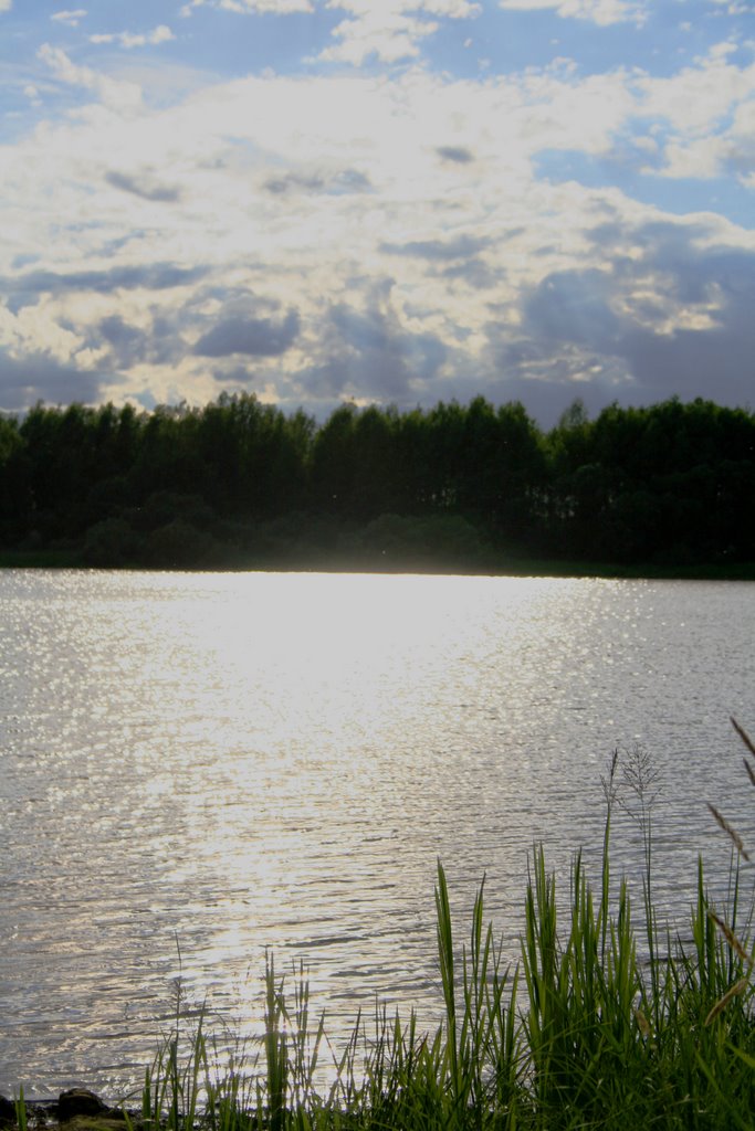 River Volhov/Солнечный блик на воде, Кириши