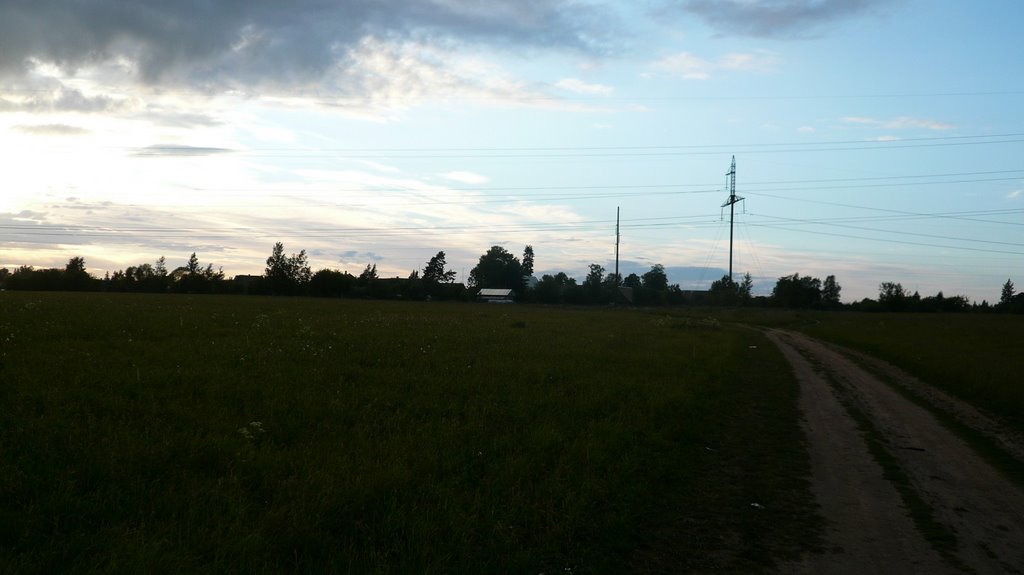 на поле, Кобринское