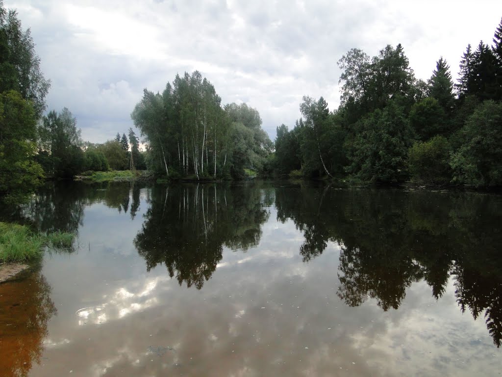 река Кобринка, Кобринское