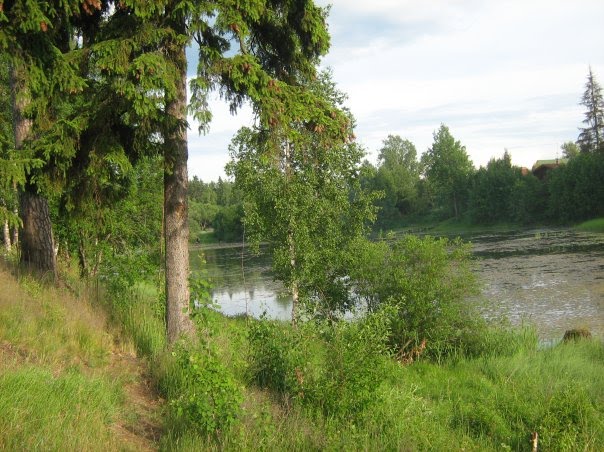 Старая речка, Кобринское