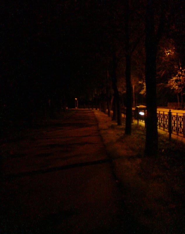Тверская улица поздней ночью, Колпино