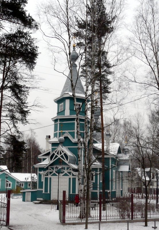 Владимирская церковь в Лисьем Носу, Лисий Нос