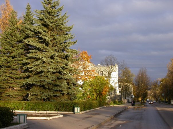 Улица Ленина, Лодейное Поле