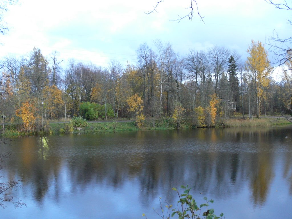 Красный пруд, октябрь 2008, Ломоносов