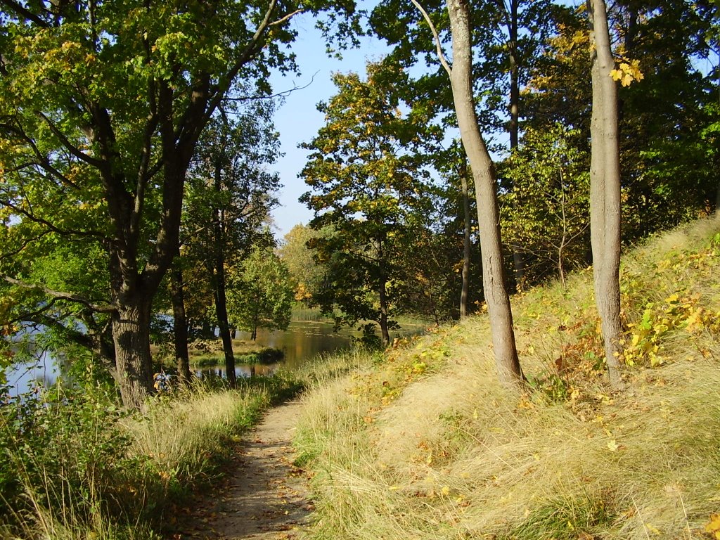Ораниенбаумский парк: Осенняя дорожка вдоль Нижнего пруда, Ломоносов