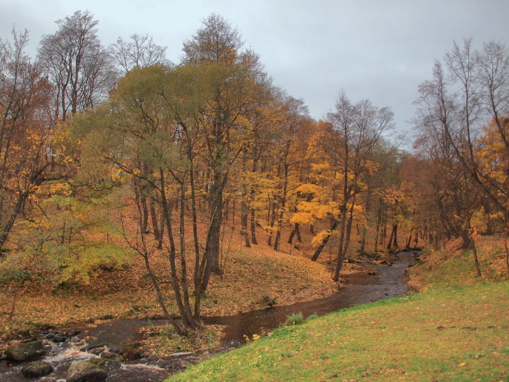 Осень в Ораниенбауме. Autumn in Oranienbaum., Ломоносов