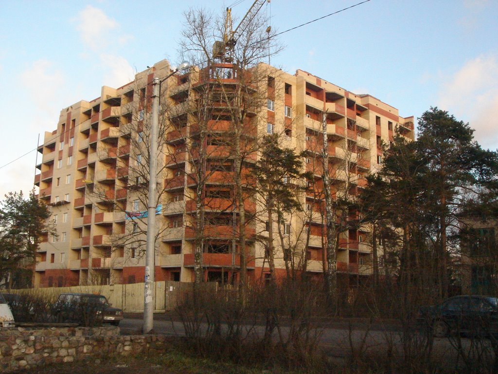 Novyi dom, Луга