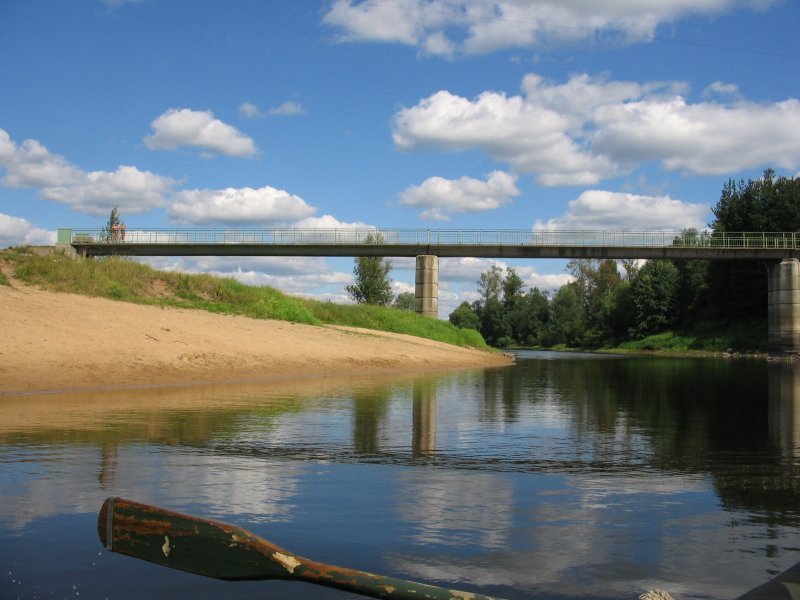 Северный пешеходный мост - вид с воды, Луга