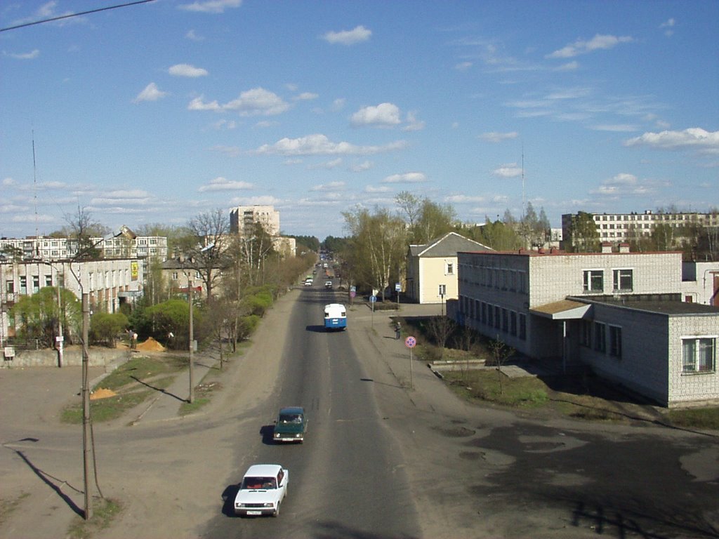 Vista desde el viaducto a la calle Pobedy, Луга