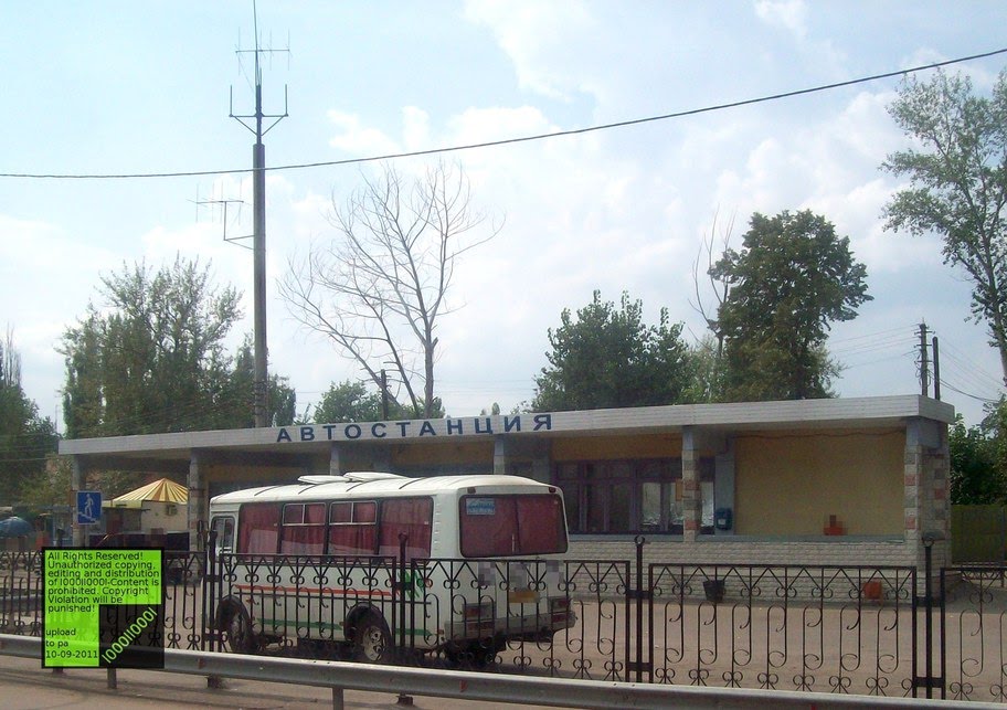 ~ 872/671 км, трасса м4, Павловск - Автостанция (8-2011), Павловск