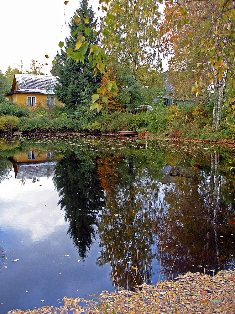 Осенний пруд., Парголово