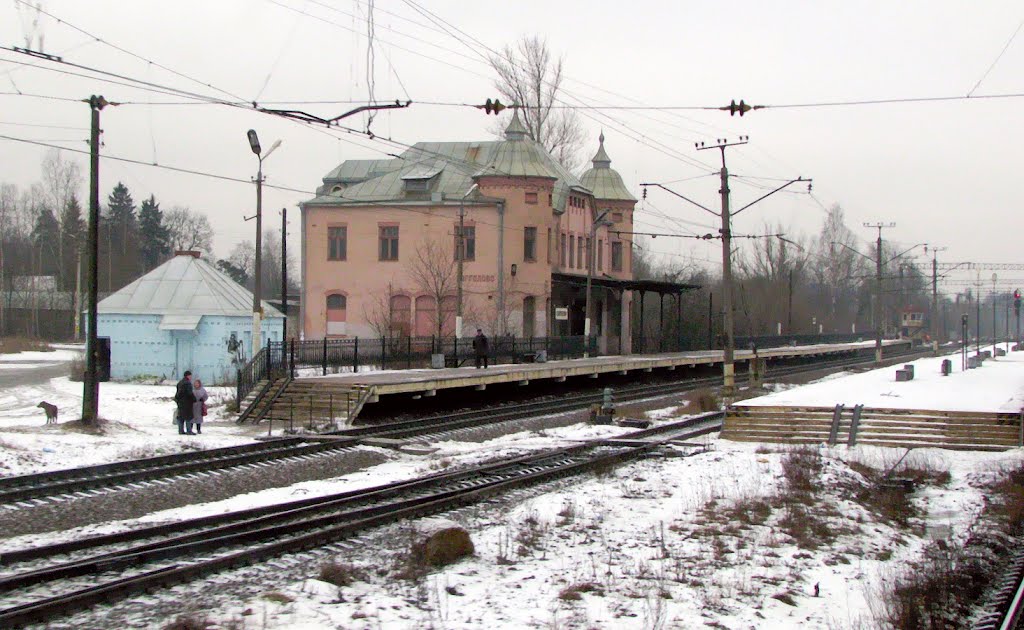 Станция Парголово, вокзал., Парголово