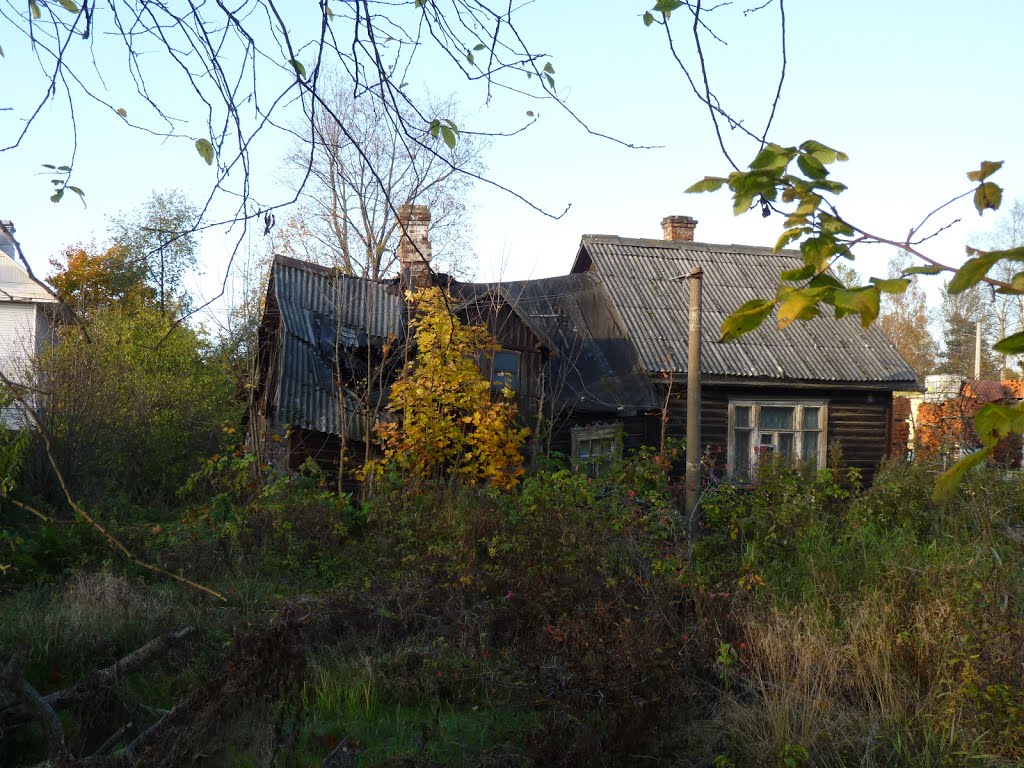 Город парголово фото Город парголово фото