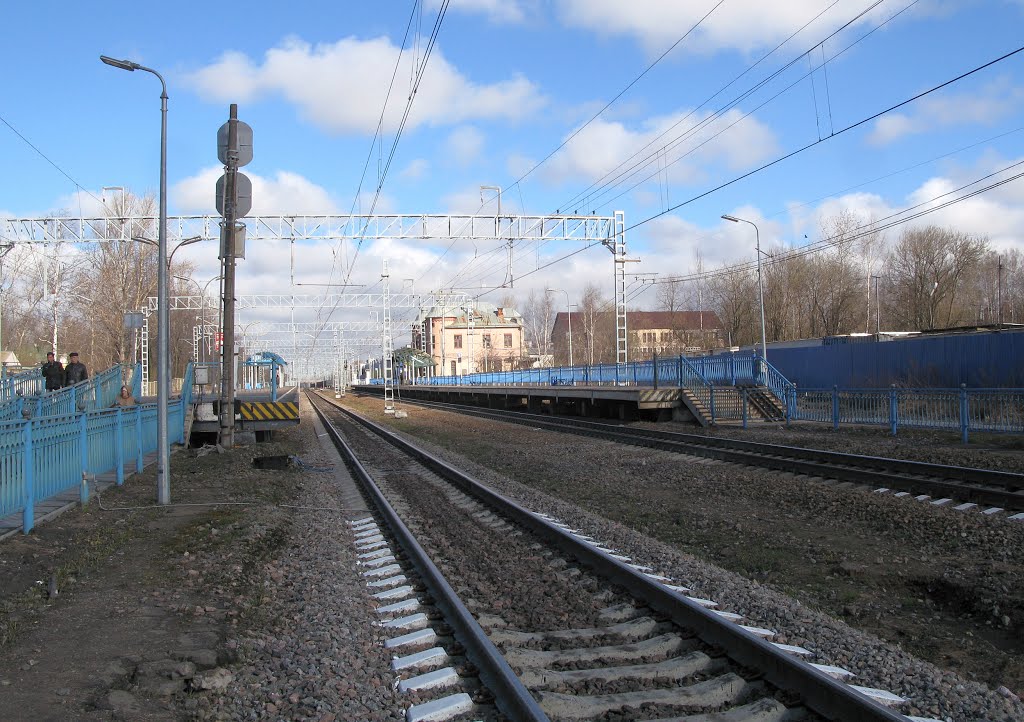 Станция Парголово, Парголово