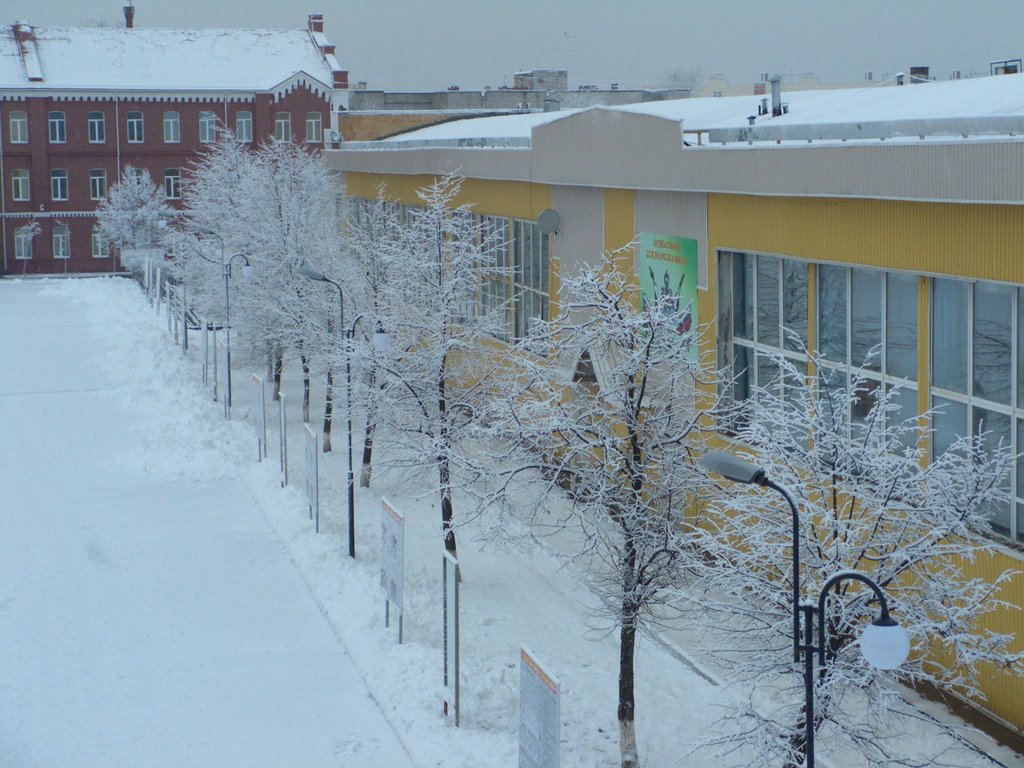 Спорткомплекс ВТУ ЖДВ (вид из здания поликлиники ВТУ), Петродворец