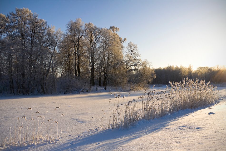 Луговой парк в декабре. Орлиный Верхний пруд. The Aquiline Overhead pond in the winter., Петродворец