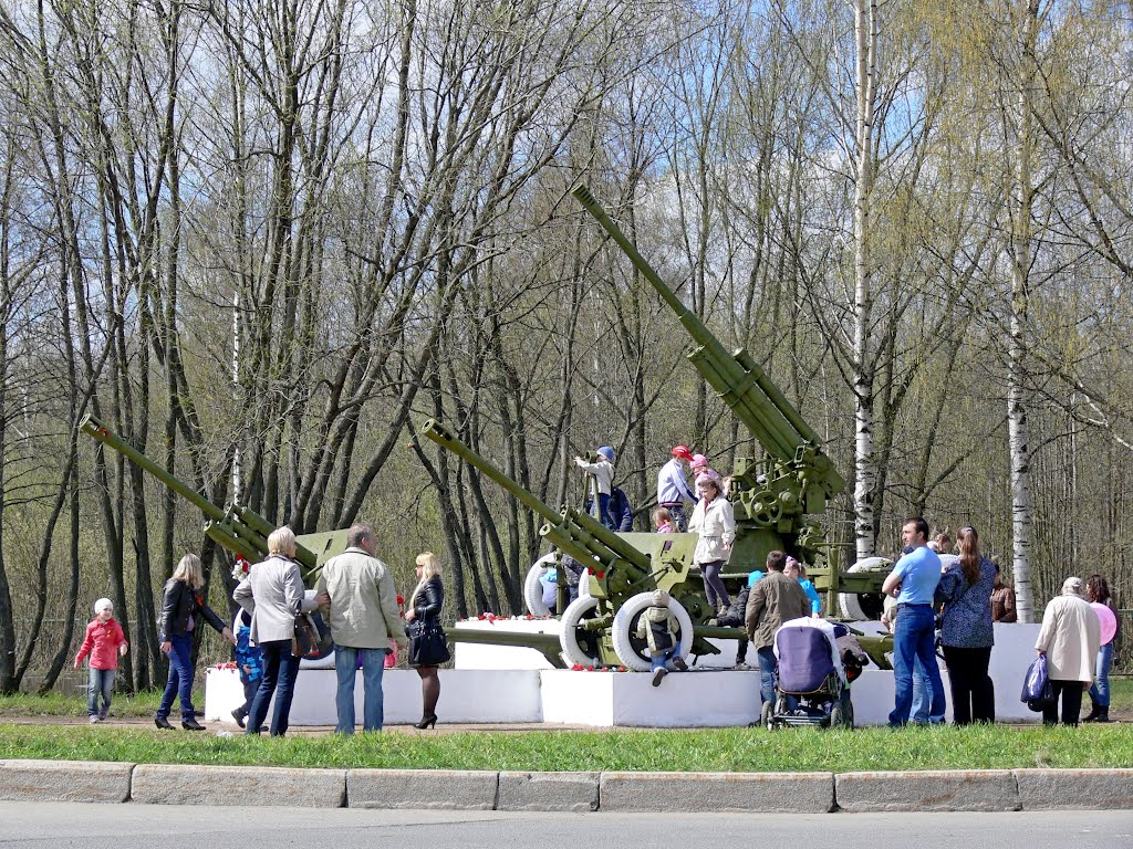 Рубеж обороны Ораниенбаумского плацдарма 9 мая 2012 года, Петродворец