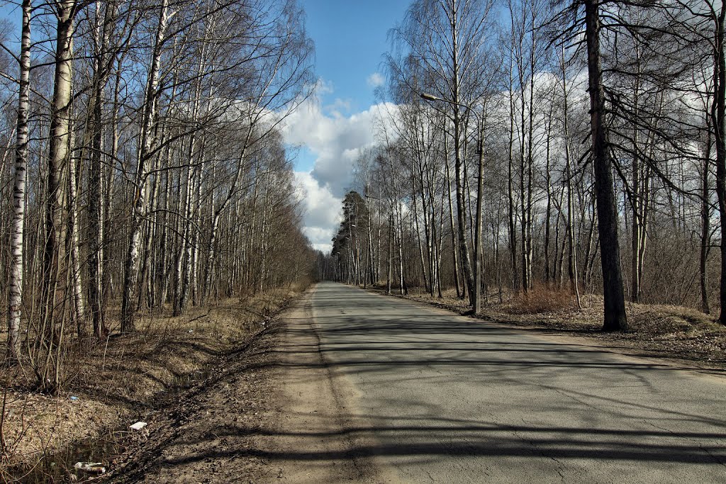 Заячий проспект. Апрель 2013, Петродворец