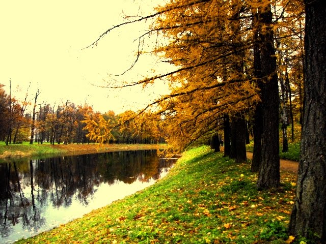осень в Царском Селе, Пушкин