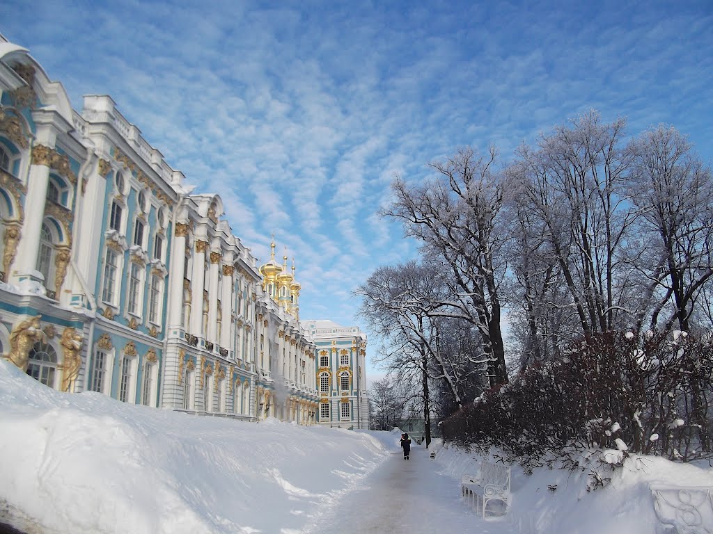 Tzarskoe selo. Catherines Palace., Пушкин