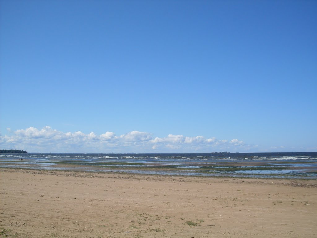 The Beach., Сестрорецк