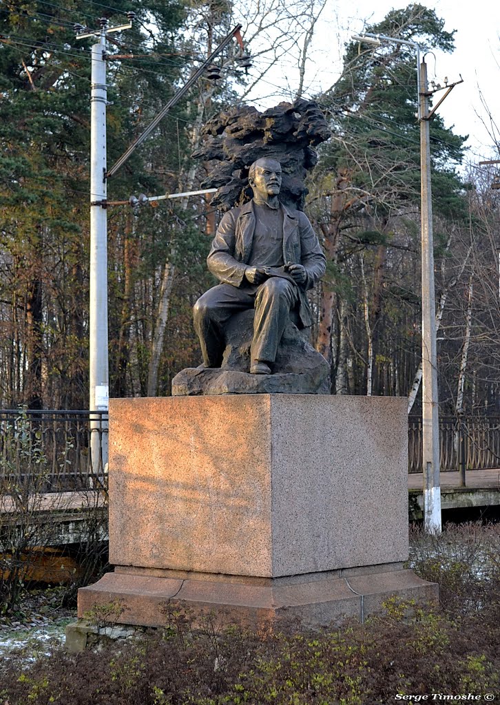 CАНКТ-ПЕТЕРБУРГ (Разлив). Задумчивый Ленин. / Saint Petersburg. Monument to Lenin., Сестрорецк