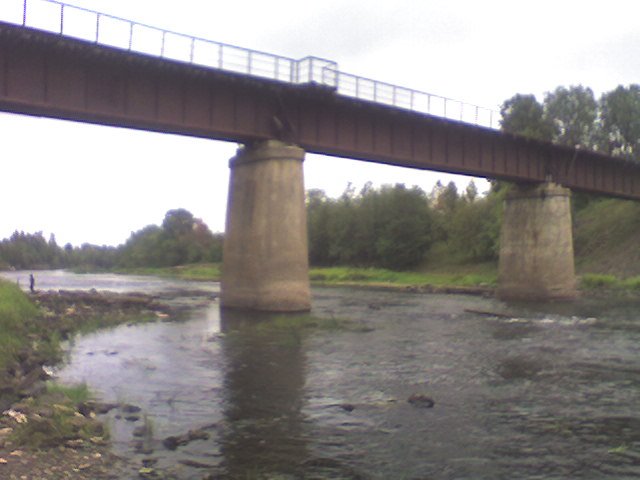 Железнодорожный мост (Railway bridge), Сланцы