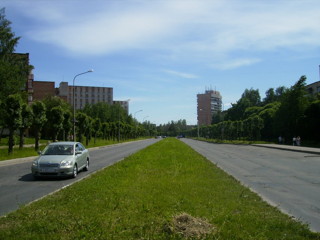 Одна из улиц (The one of the streets), Сосновый Бор