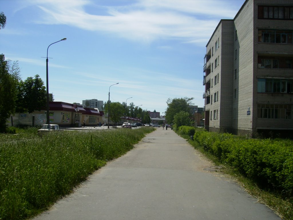 Улица (Simply street), Сосновый Бор