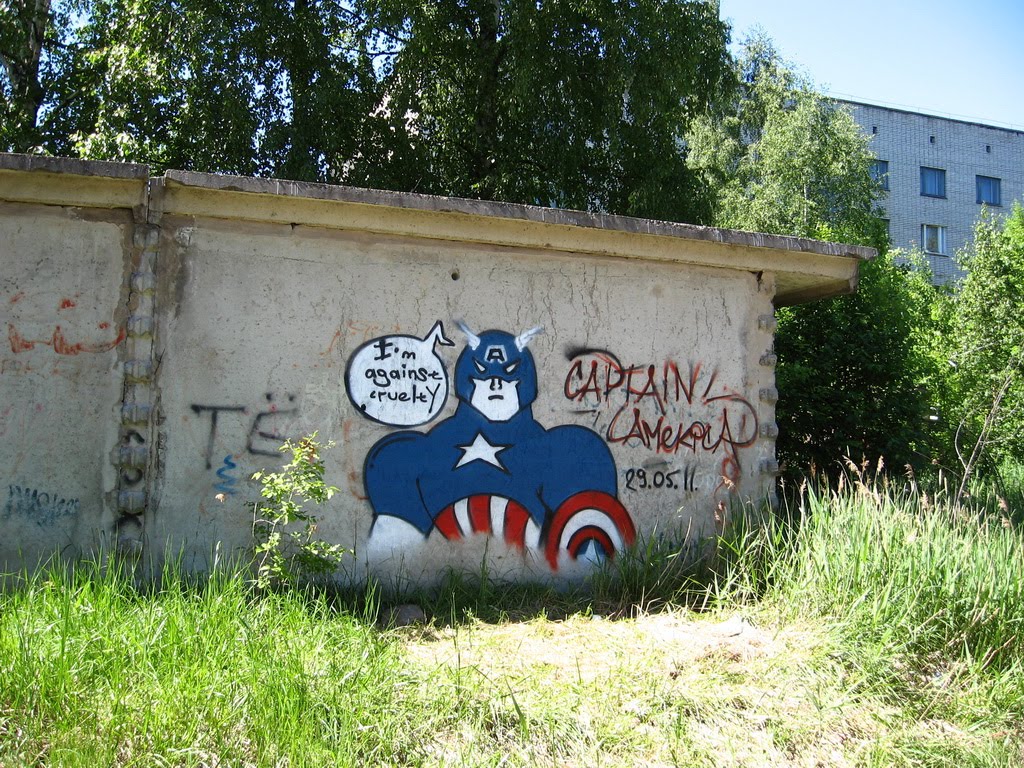 Граффити на стене, Тихвин
