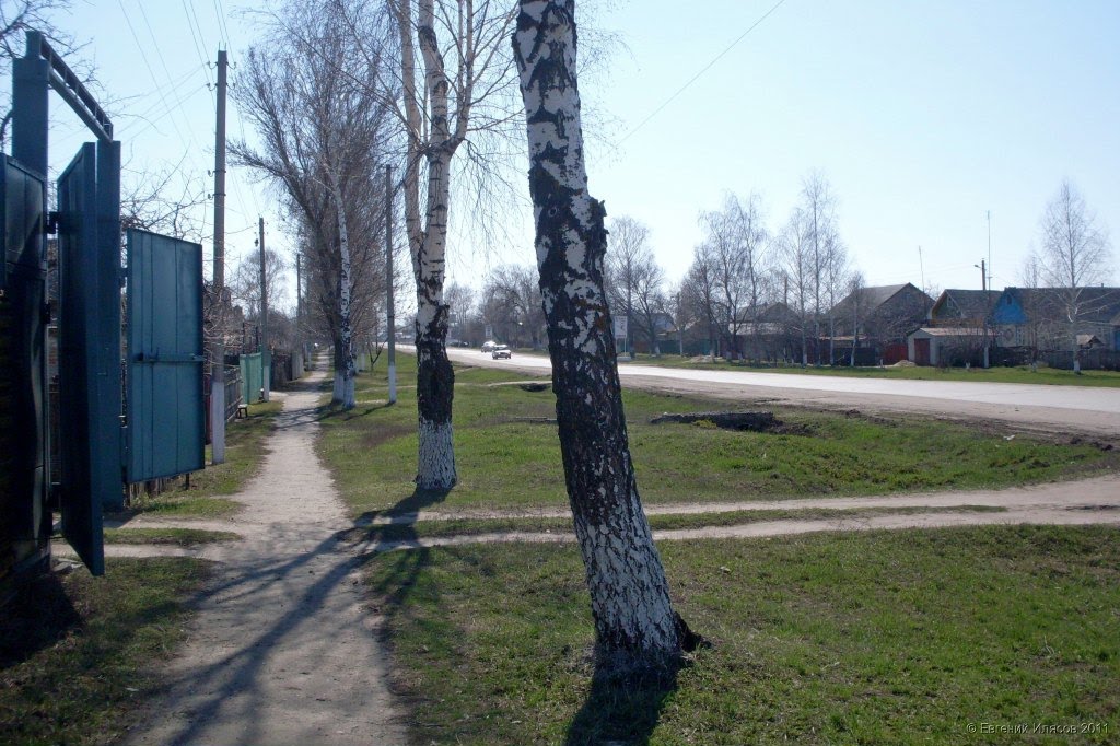 На ул. Володарского, Аркадак