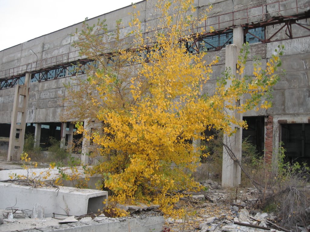 Развалины железобетонного завода, Балаково