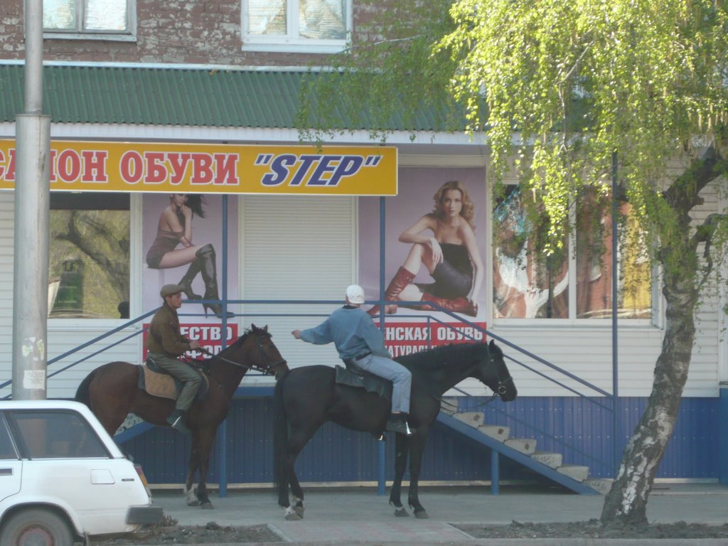Кони на улицах Балашова!!!!, Балашов