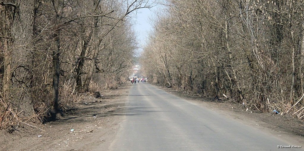 Дорога на Репное от Старого моста., Балашов