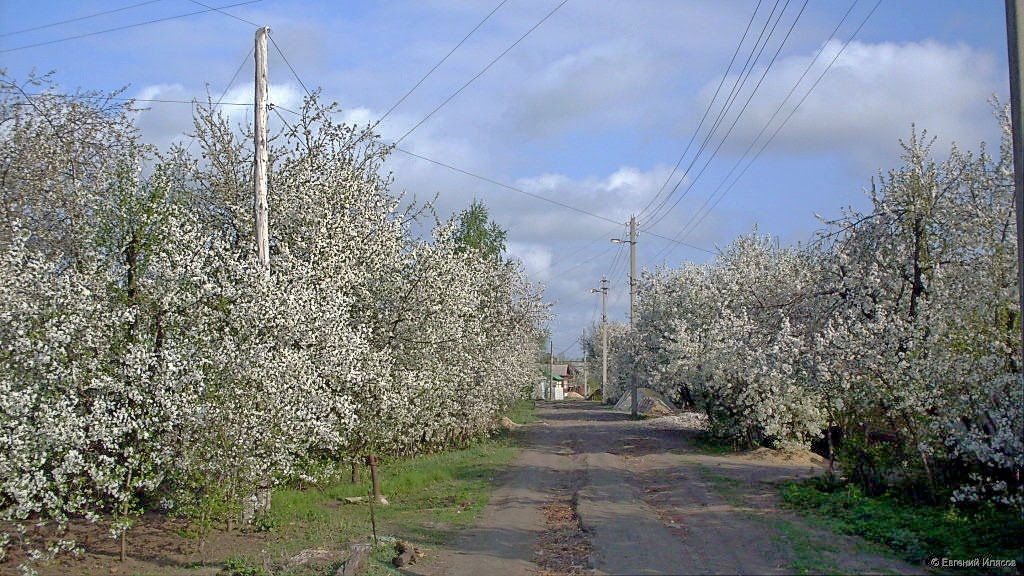 Своб. планировка, 46 м², 5/6 эт. на продажу в Сочи Купить квартиру Авито